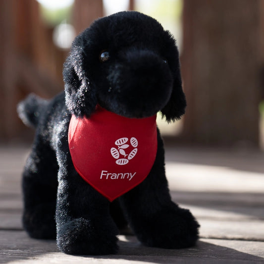 Franny
