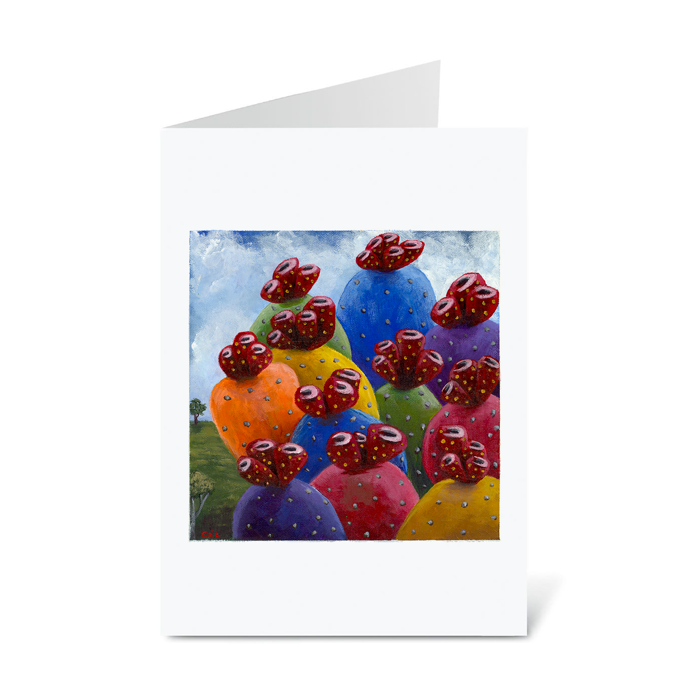 Jason's Colorful Cacti Notecards