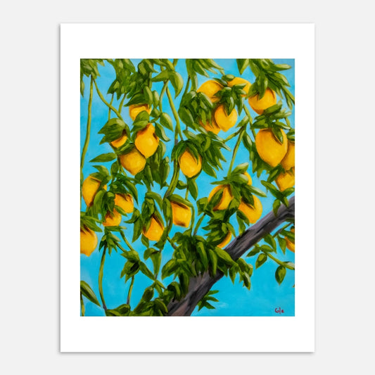 Jason's Lemon Tree Print