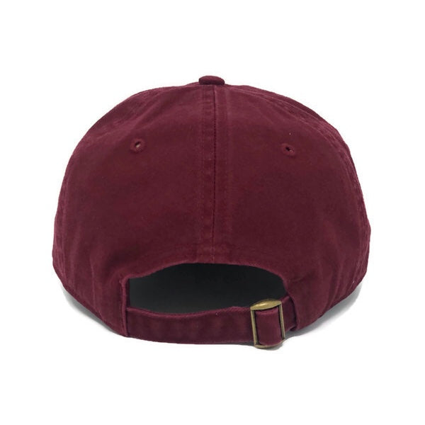 community first village tiny home dad cap maroon